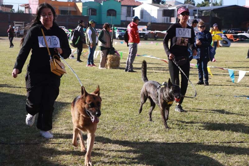 Atlixco impulsa bienestar animal con la carrera “Patitas Fugaces 2025”