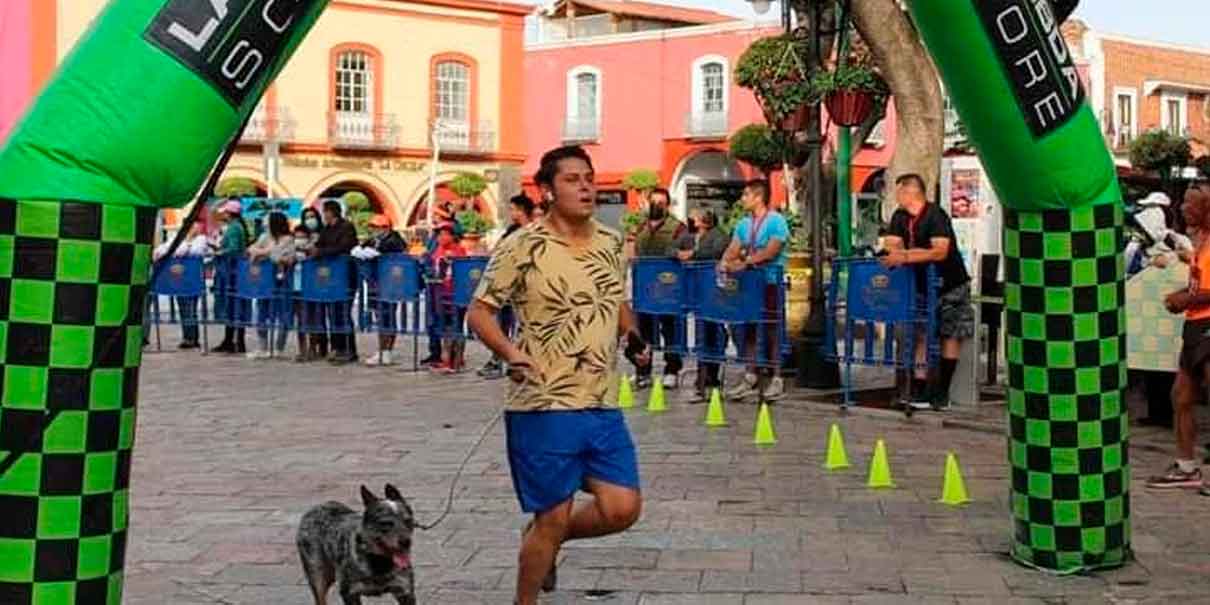 Soy tu fan