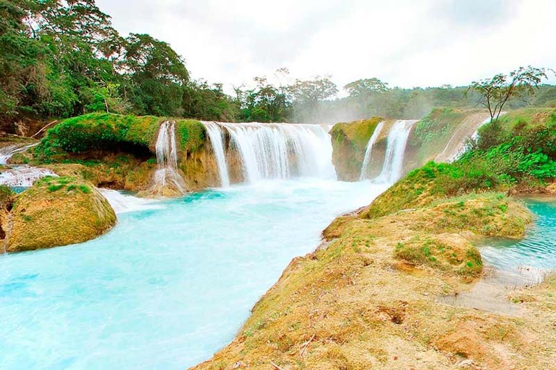 Entre nubes, selva y agua turquesa: descubre las impresionantes Cascadas Las Nubes en Chiapas