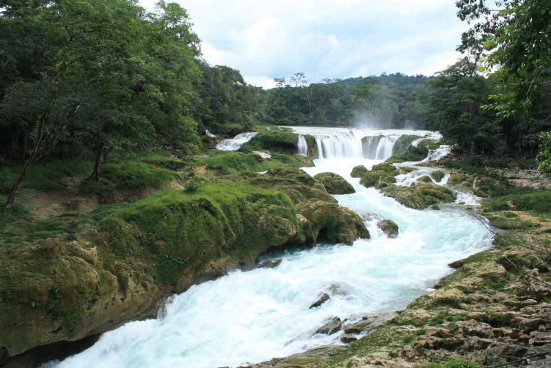 Entre nubes, selva y agua turquesa: descubre las impresionantes Cascadas Las Nubes en Chiapas