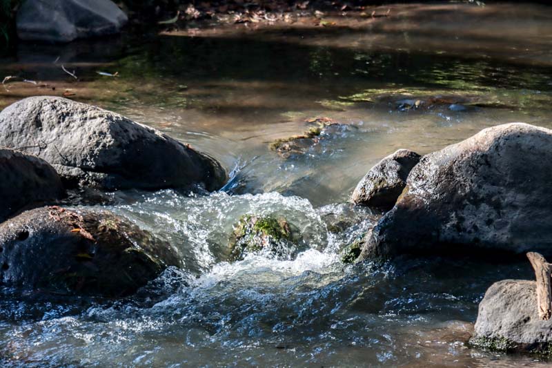 Pésimo diagnóstico del Río Atoyac, autoridades emitieron reporte para revivirlo