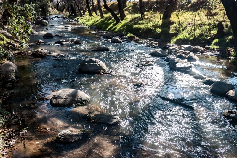 Pésimo diagnóstico del Río Atoyac, autoridades emitieron reporte para revivirlo