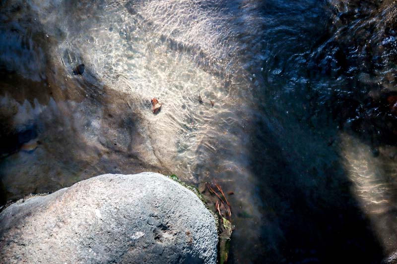 Pésimo diagnóstico del Río Atoyac, autoridades emitieron reporte para revivirlo