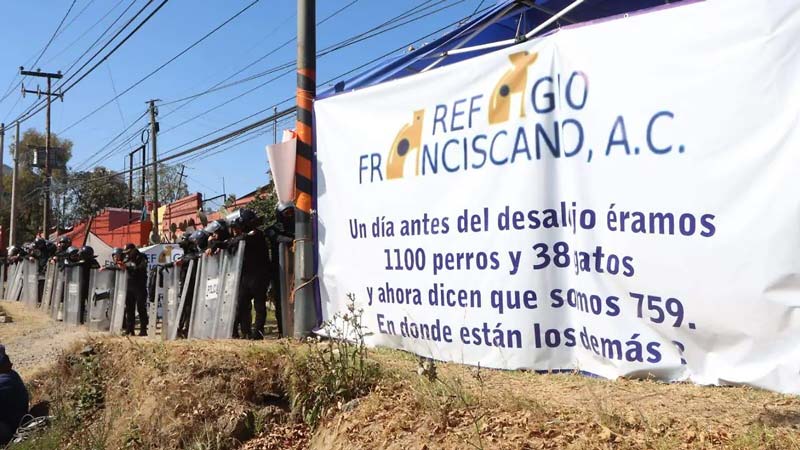 Rescate de casi mil animales en Refugio Franciscano expone maltrato a perros y gatos