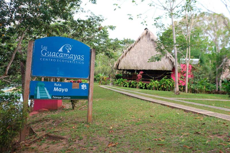 Centro Ecoturístico Las Guacamayas, Chiapas: el paraíso de la guacamaya roja en la Selva Lacandona