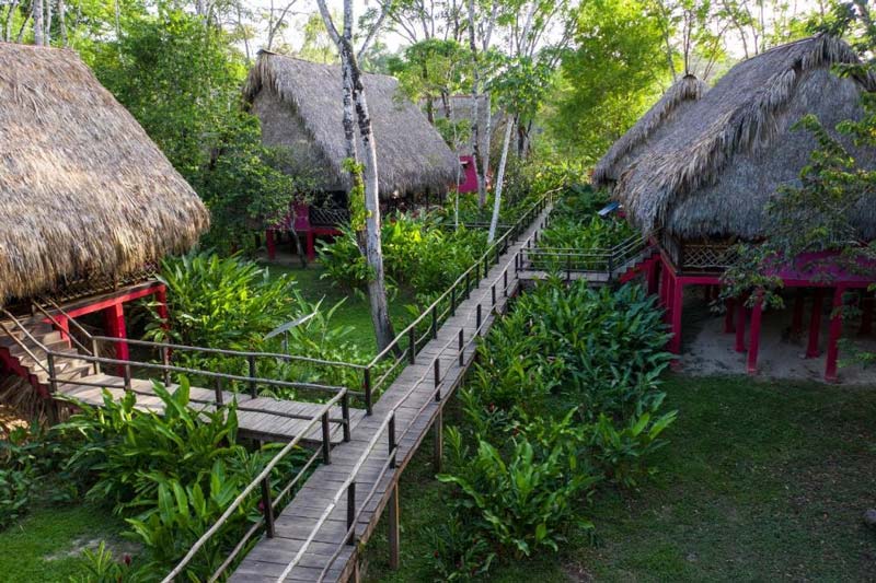 Centro Ecoturístico Las Guacamayas, Chiapas: el paraíso de la guacamaya roja en la Selva Lacandona