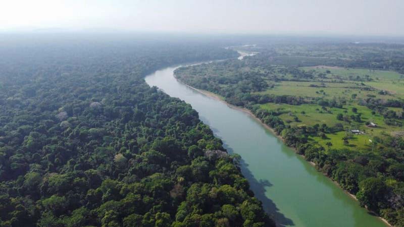Centro Ecoturístico Las Guacamayas, Chiapas: el paraíso de la guacamaya roja en la Selva Lacandona