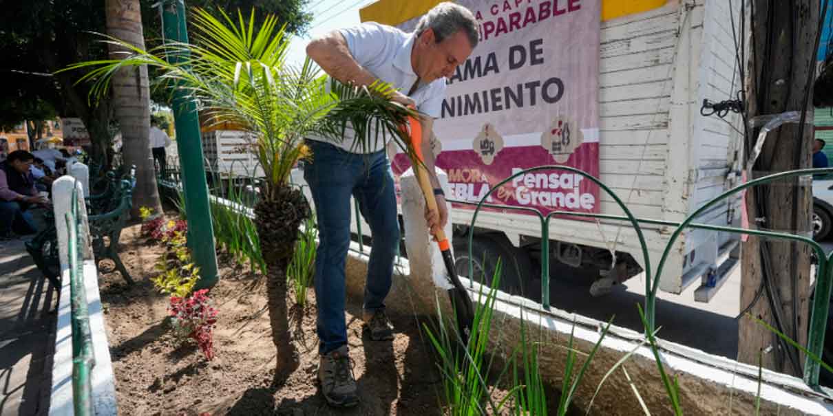 José Chedraui