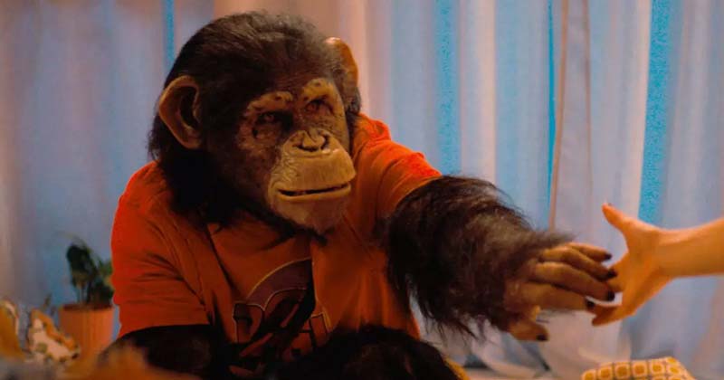 En el cine thriller intenso en La Empleada y terror escalofriante con Primate
