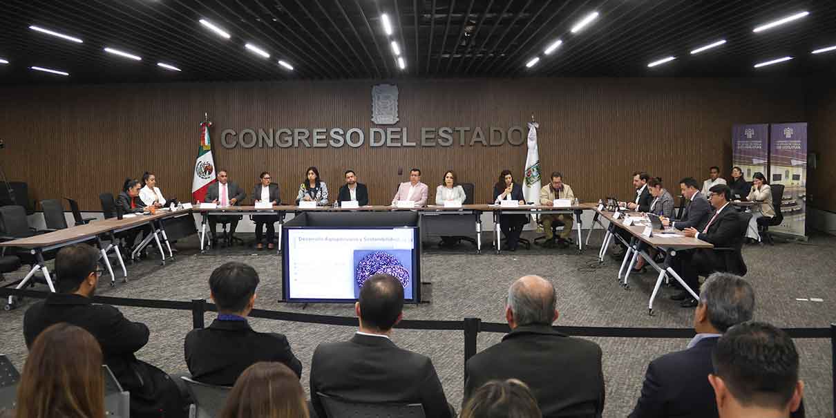 Comparecencia Celina Peña Guzmán