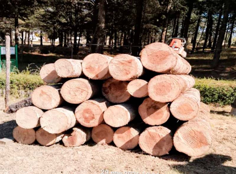 Aseguraron madera en los límites de Puebla con Tlaxcala
