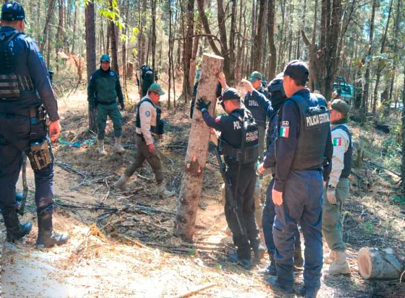 Aseguraron madera en los límites de Puebla con Tlaxcala