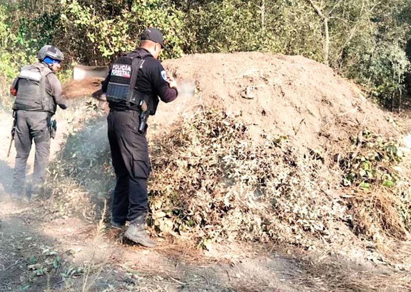 Aseguraron madera en los límites de Puebla con Tlaxcala