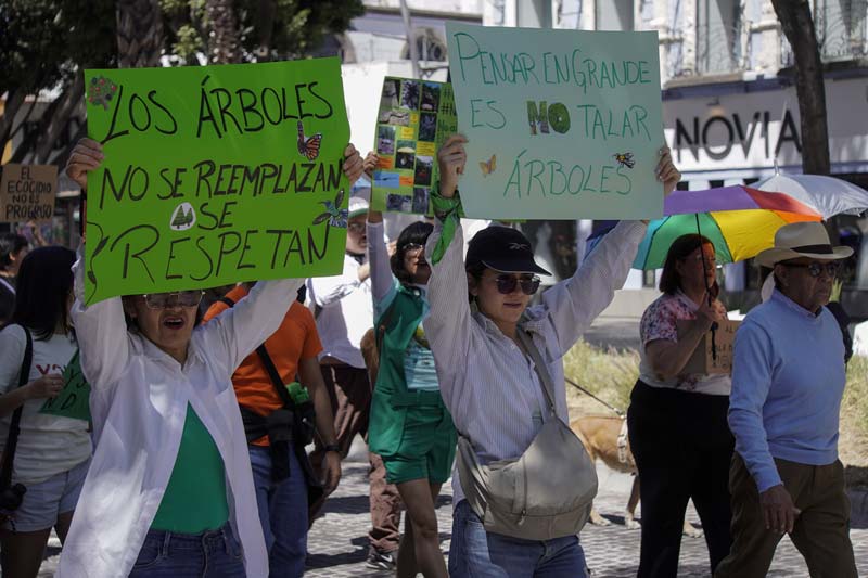 Cablebús en Puebla seguirá su curso aunque ambientalistas se opongan