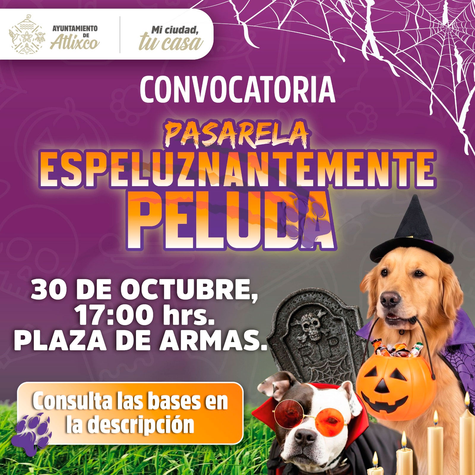 Convocatoria