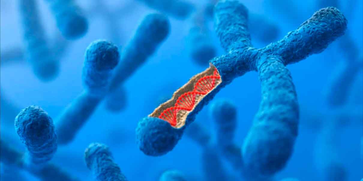  cromosoma Y 