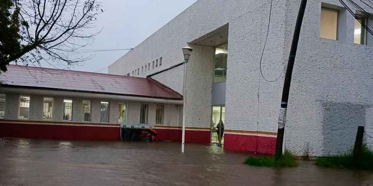 Damnificados 