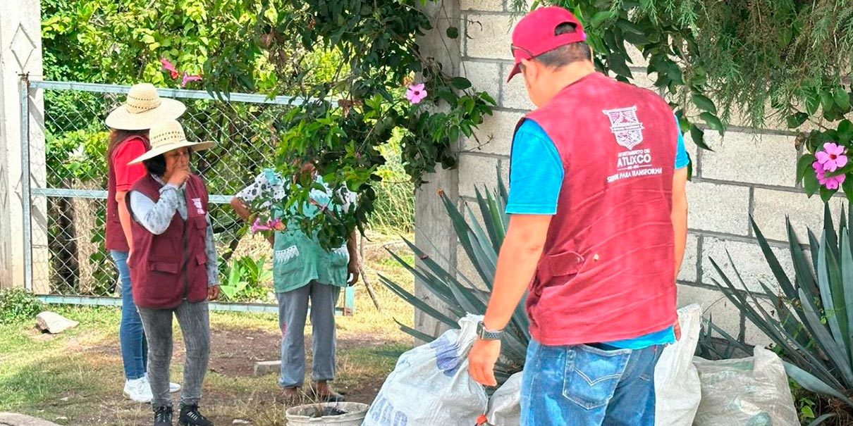 Campaña contra el dengue