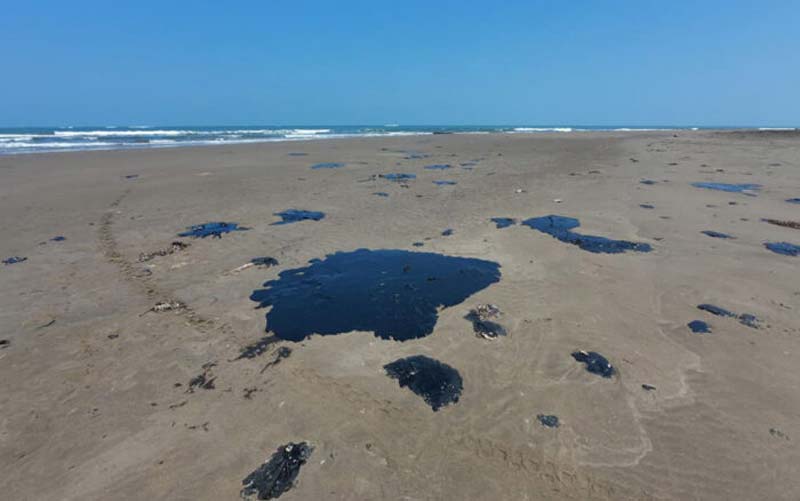 Ambientalistas alertan: autoridades conocían derrame en el Golfo y no actuaron