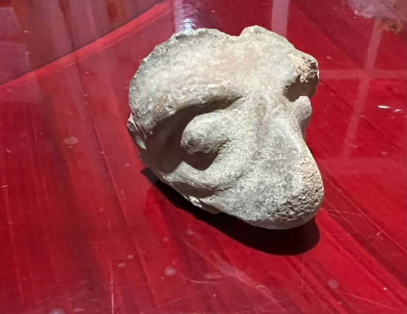 Hallan piezas arqueológicas en San Miguel Tianguizolco, comunidad de origen prehispánico