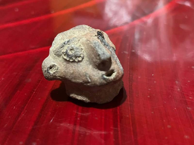 Hallan piezas arqueológicas en San Miguel Tianguizolco, comunidad de origen prehispánico