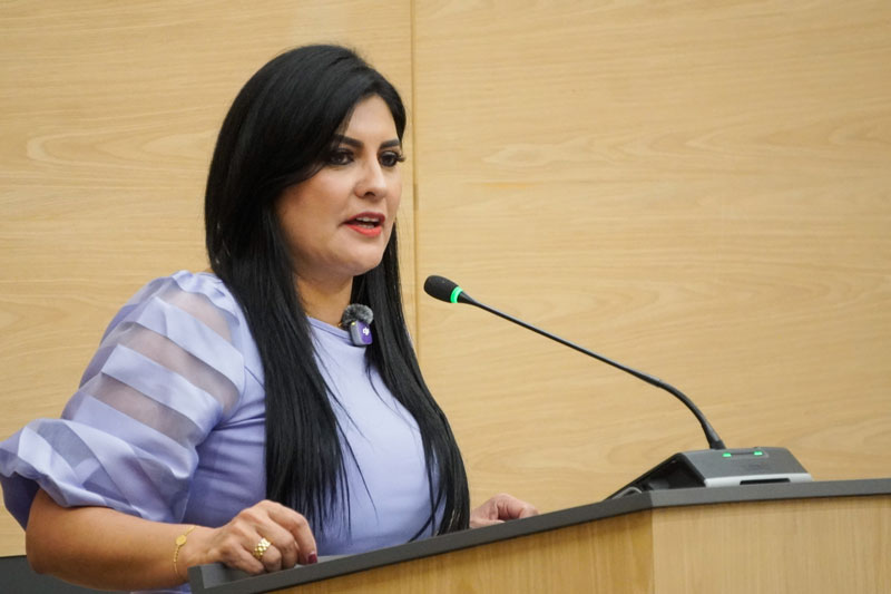 La diputada Delfina Pozos Vergara propuso impedir el uso electoral de los programas sociales en Puebla.