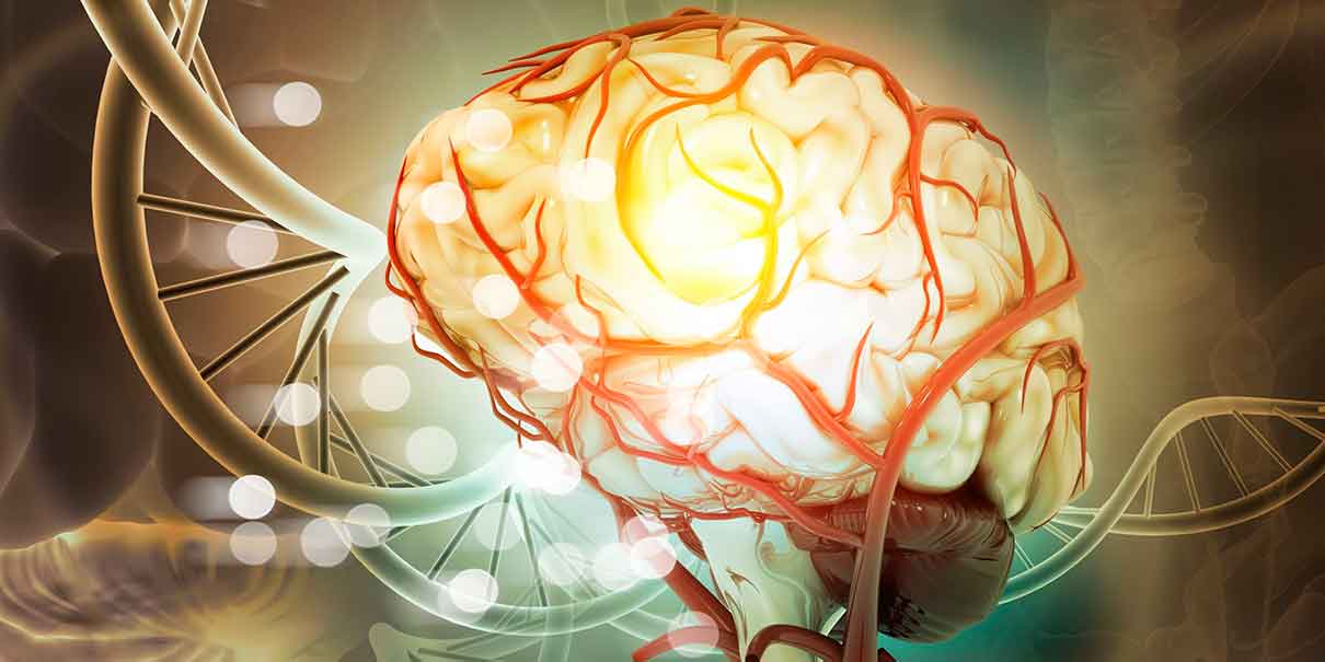 Cerebro