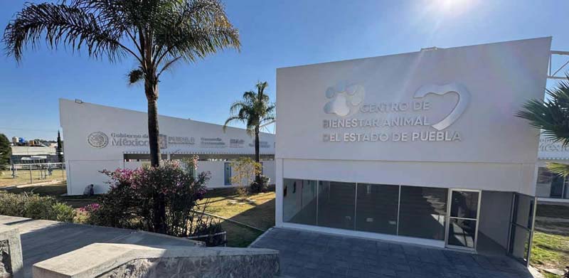 Instituto de Bienestar Animal.