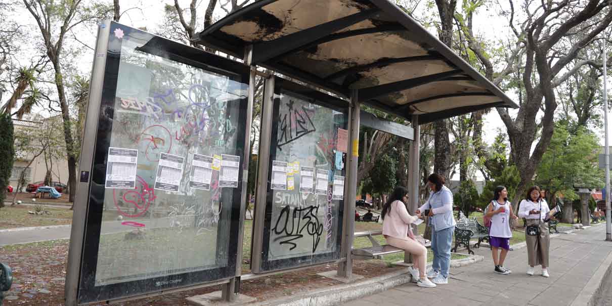Aún sin licitar mantenimiento de 400 paraderos de la ciudad