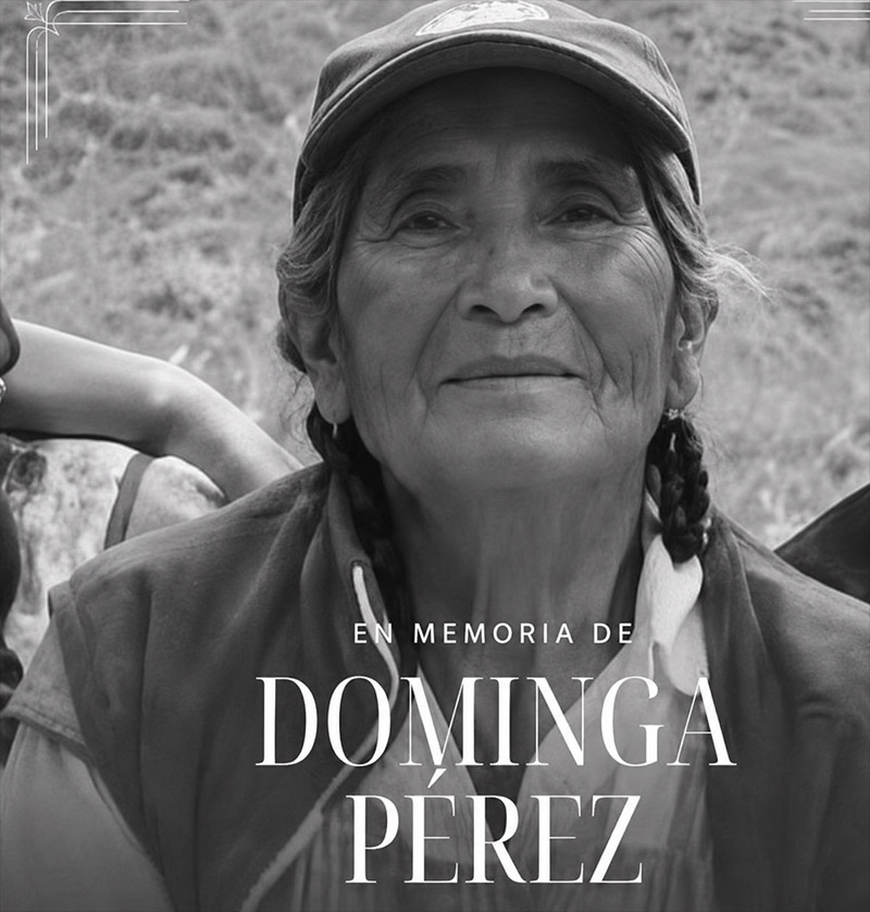 Doña Dominga Pérez Comisario vendía cemitas y formado parte del paisaje cotidiano de la comunidad