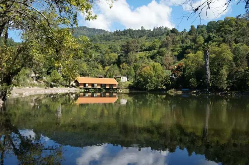 Así es Guelatao de Juárez, la cuna de Benito Juárez entre montañas de Oaxaca