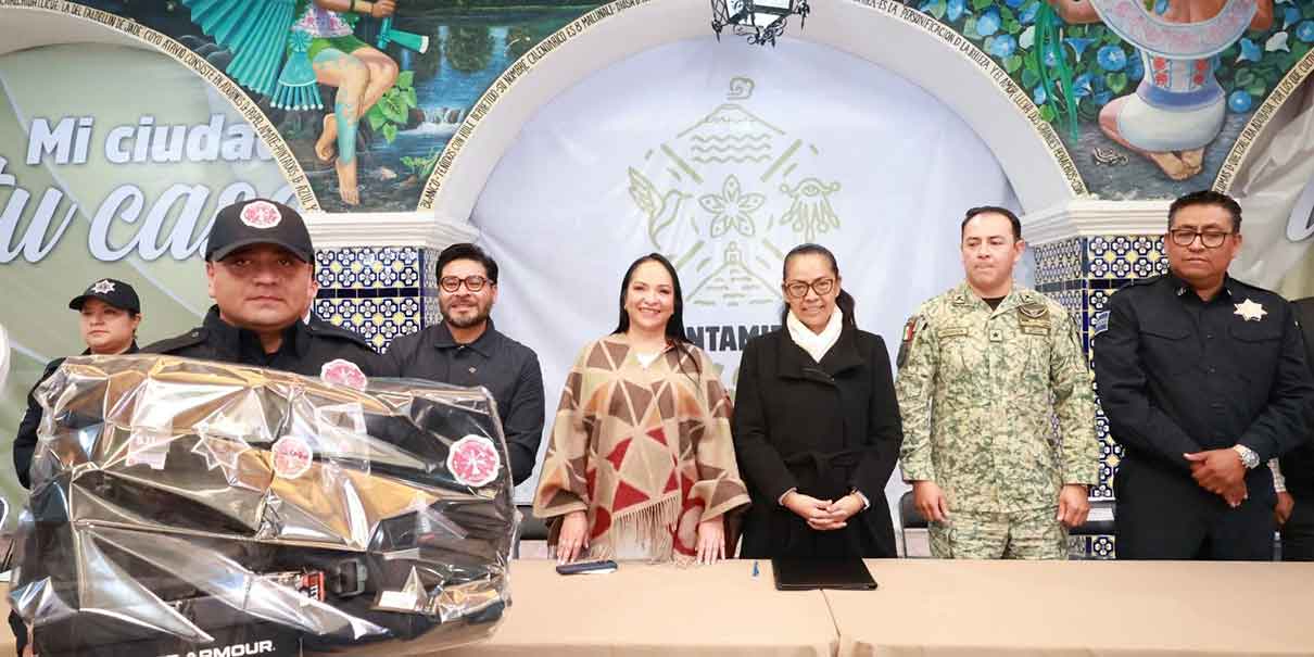 Seguridad pública