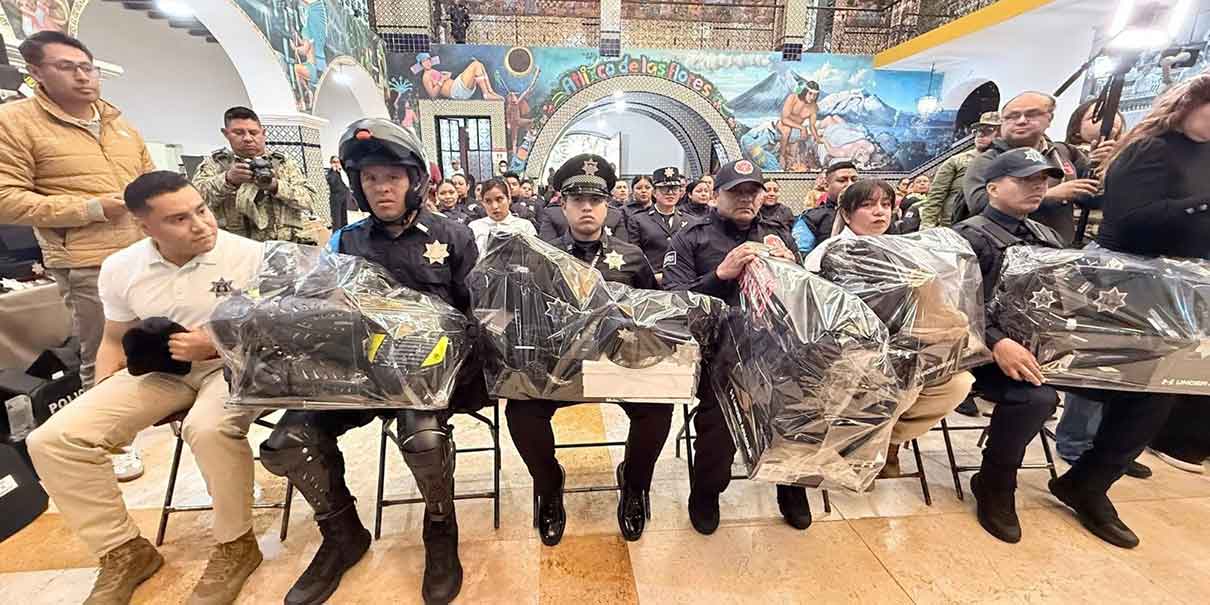 Seguridad pública