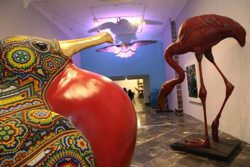 IMACP extiende “El Murmullo de los Océanos” tras éxito histórico en Puebla