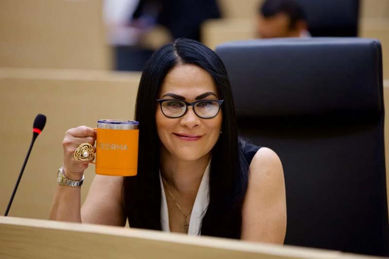 Las candidaturas emecistas son para quienes trabajan por el partido