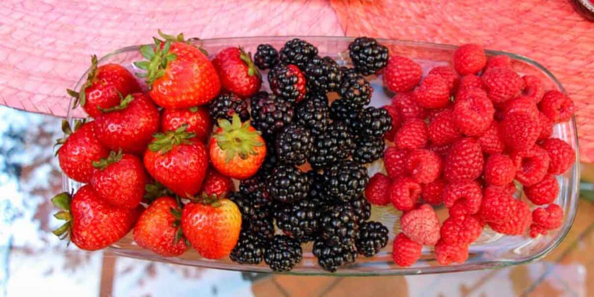 Berries