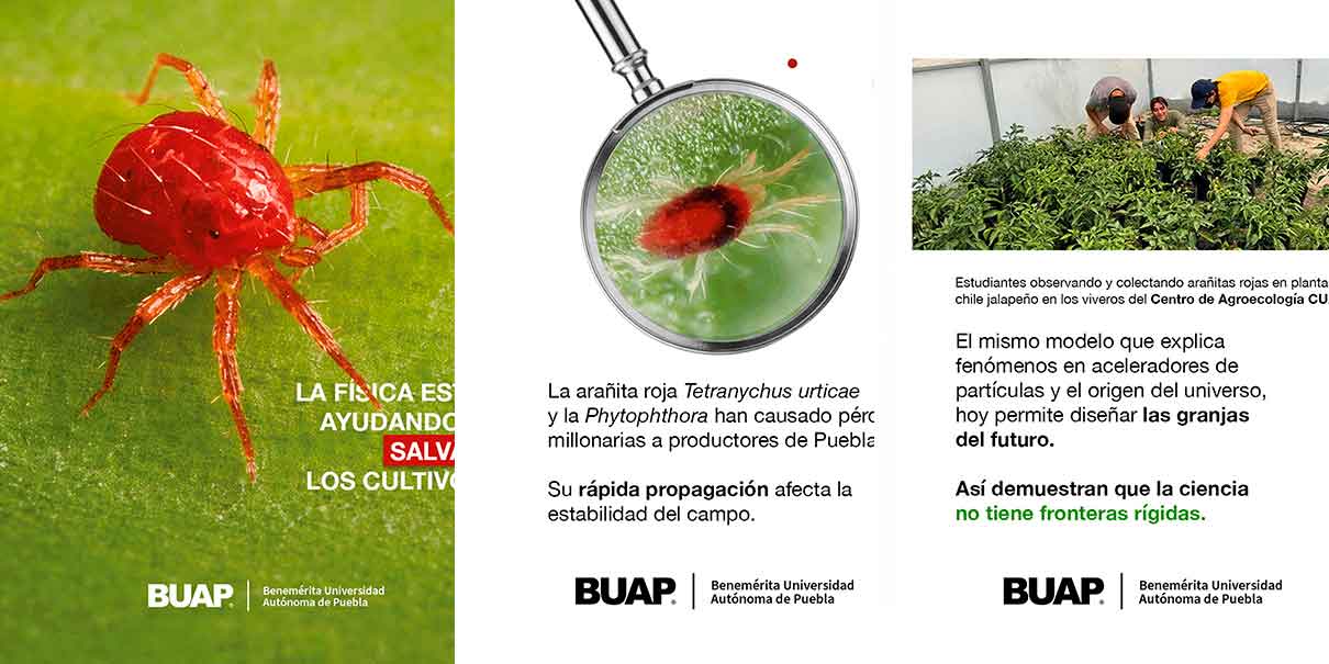 Cultivo sostenible 