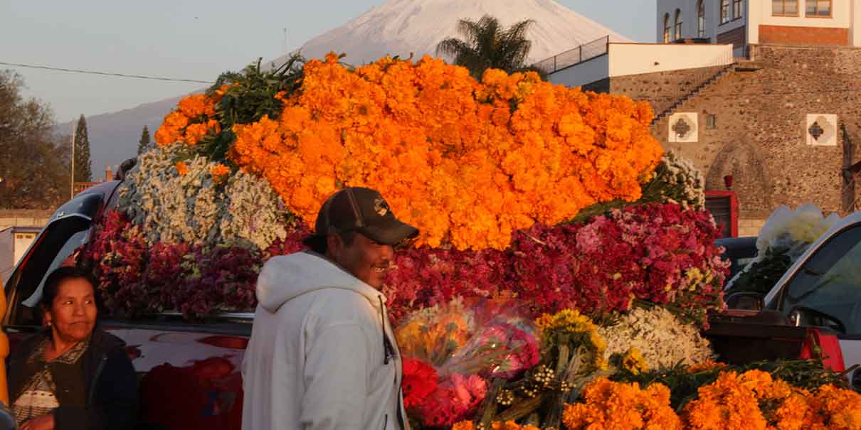 Productores de Cempasúchil