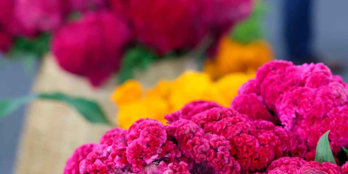 Mercado de las flores