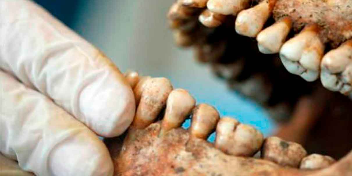 ciencia forense