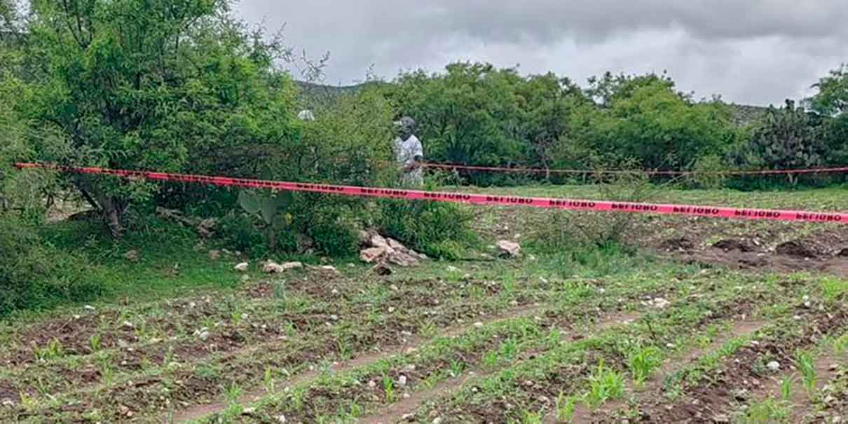 Colectivo Voz de los Desaparecidos