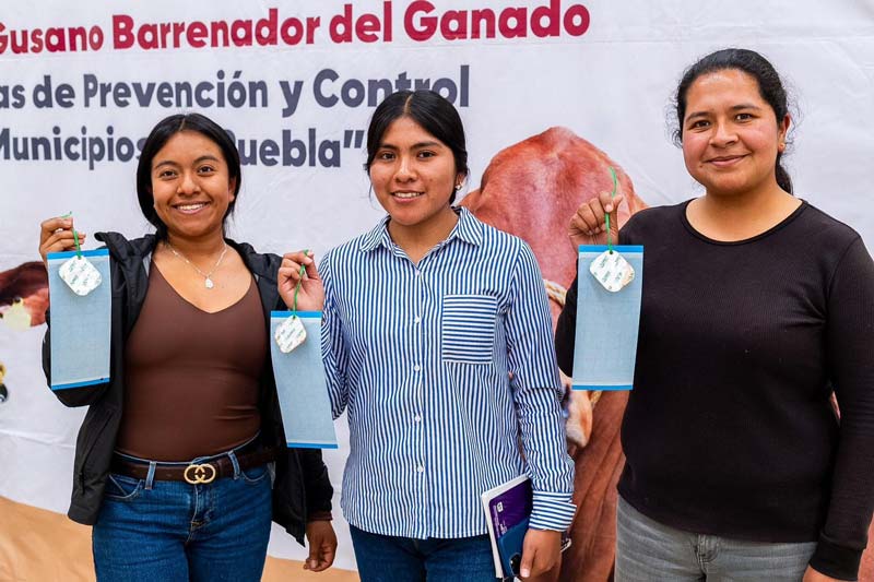 Puebla refuerza prevención del gusano barrenador en la Sierra Negra