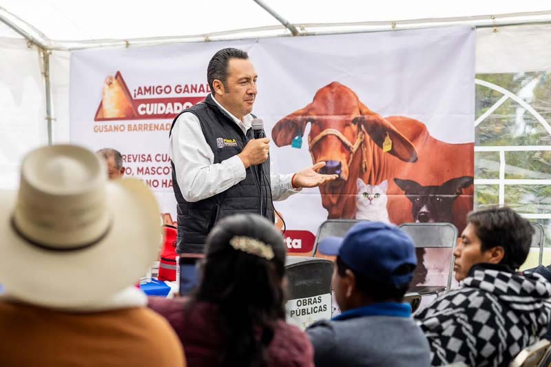 Puebla refuerza prevención del gusano barrenador en la Sierra Negra