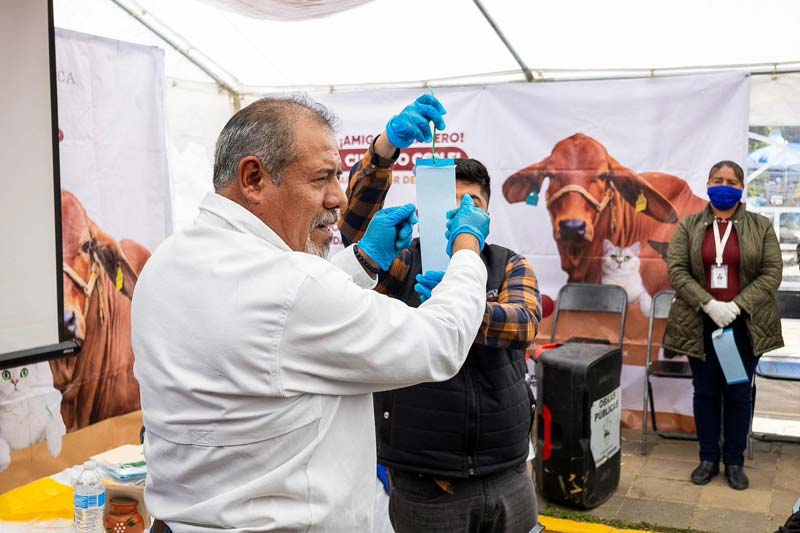 Puebla refuerza prevención del gusano barrenador en la Sierra Negra
