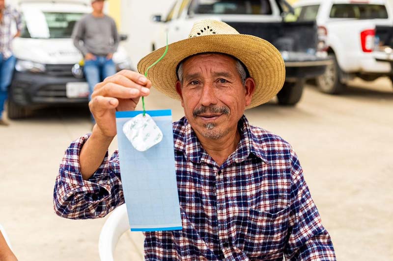 Puebla refuerza prevención del gusano barrenador en la Sierra Negra