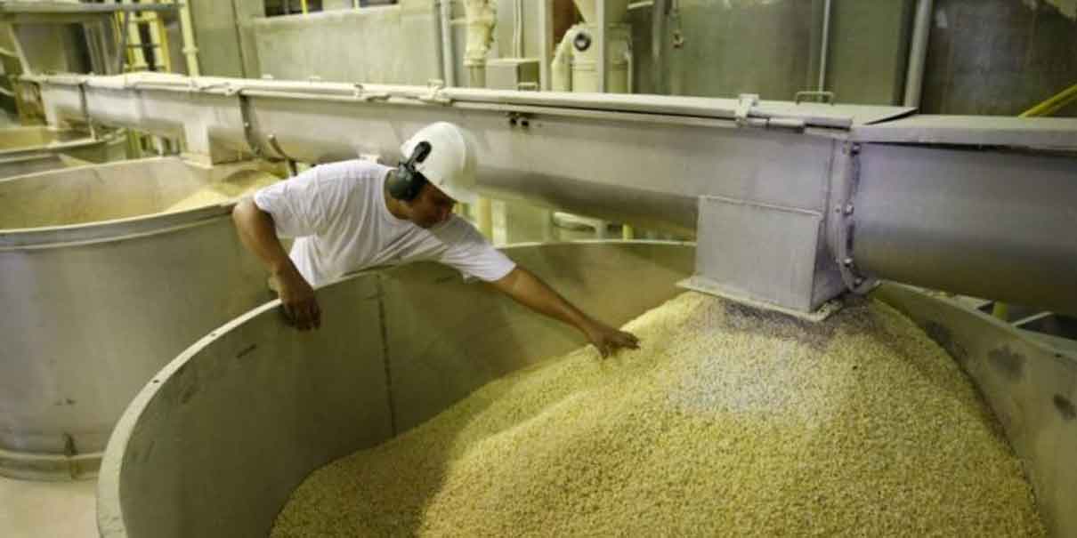 Puebla tendrá planta procesadora de harina de maíz y mayor producción de frijol