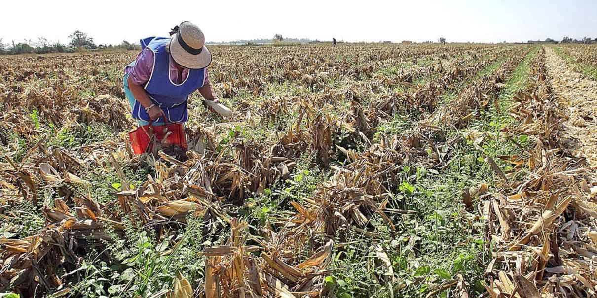 Histórica inversión al campo poblano para acabar con el rezago