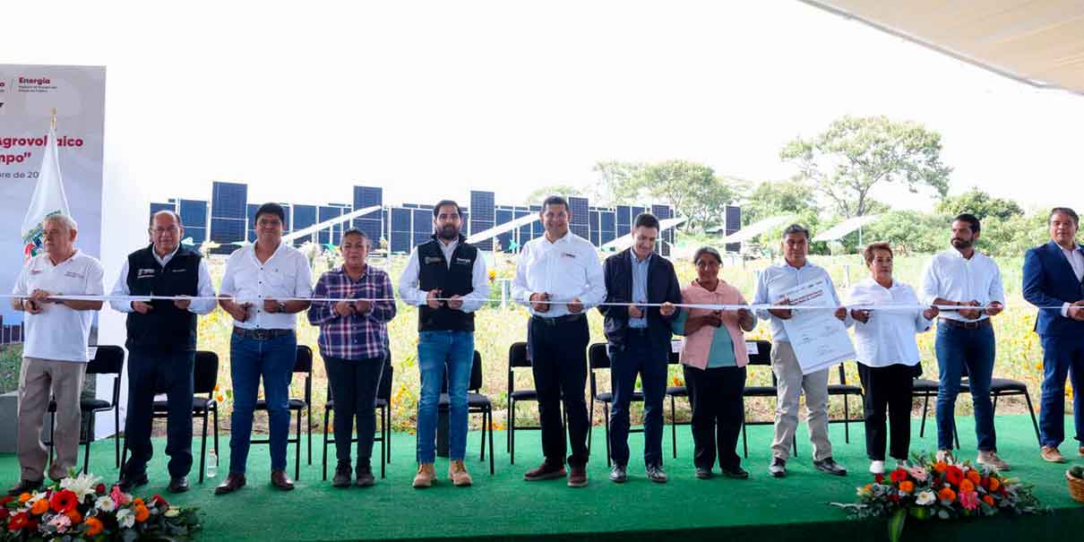 Inauguran el primer sistema agrovoltaico