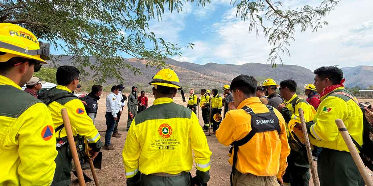Incendio forestal