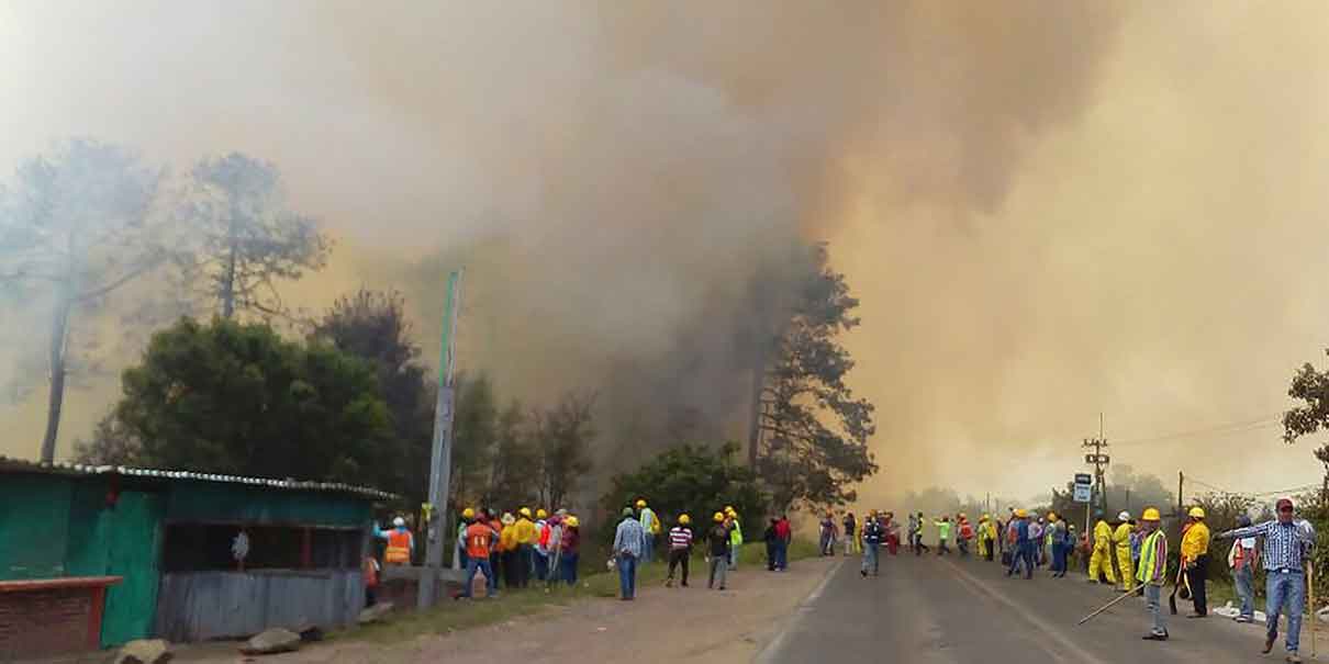 Incendio forestal